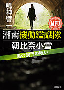 湘南機動鑑識隊　朝比奈小雪　黒の洞門の呪い