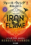 フォース・ウィング２―鉄炎の竜たち―　下