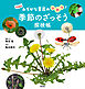 季節のざっそう探検帳　～みぢかな草花のひみつ！～