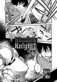 ロードオブワルキューレ～Shadow Knight～