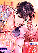 帰れないふたり【合冊版】 3巻 ～完結編～