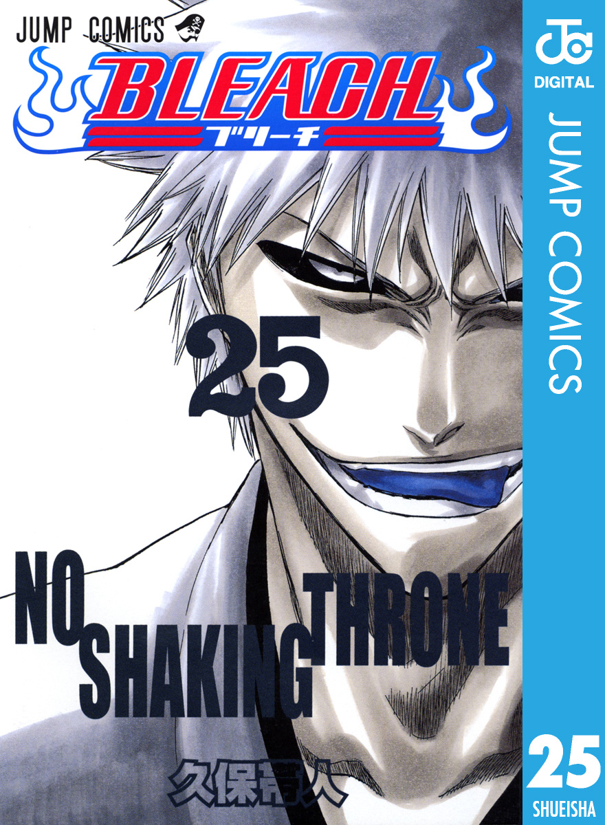 Bleach モノクロ版 25 漫画 無料試し読みなら 電子書籍ストア ブックライブ