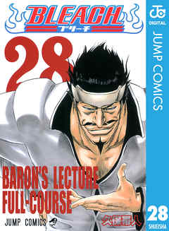 BLEACH モノクロ版 28