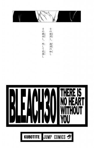 BLEACH モノクロ版 30 - 久保帯人 - 漫画・ラノベ（小説）・無料試し