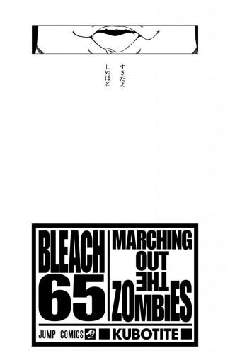 Bleach モノクロ版 65 久保帯人 漫画 無料試し読みなら 電子書籍ストア ブックライブ