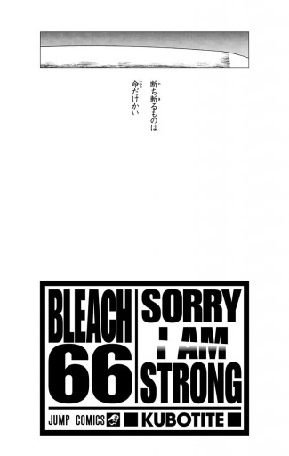 Bleach モノクロ版 66 漫画 無料試し読みなら 電子書籍ストア ブックライブ