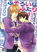 ふぞろいなふたり（分冊版）