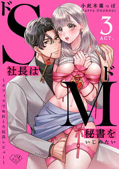 【ラブチーク】ドS社長はドM秘書をいじめたい～オフィスでぬれとろ玩具レビュー～　act.3