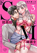 【ラブチーク】ドS社長はドM秘書をいじめたい～オフィスでぬれとろ玩具レビュー～　act.3