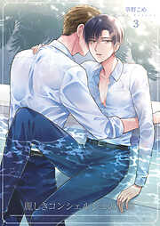 麗しきコンシェルジュの憂鬱