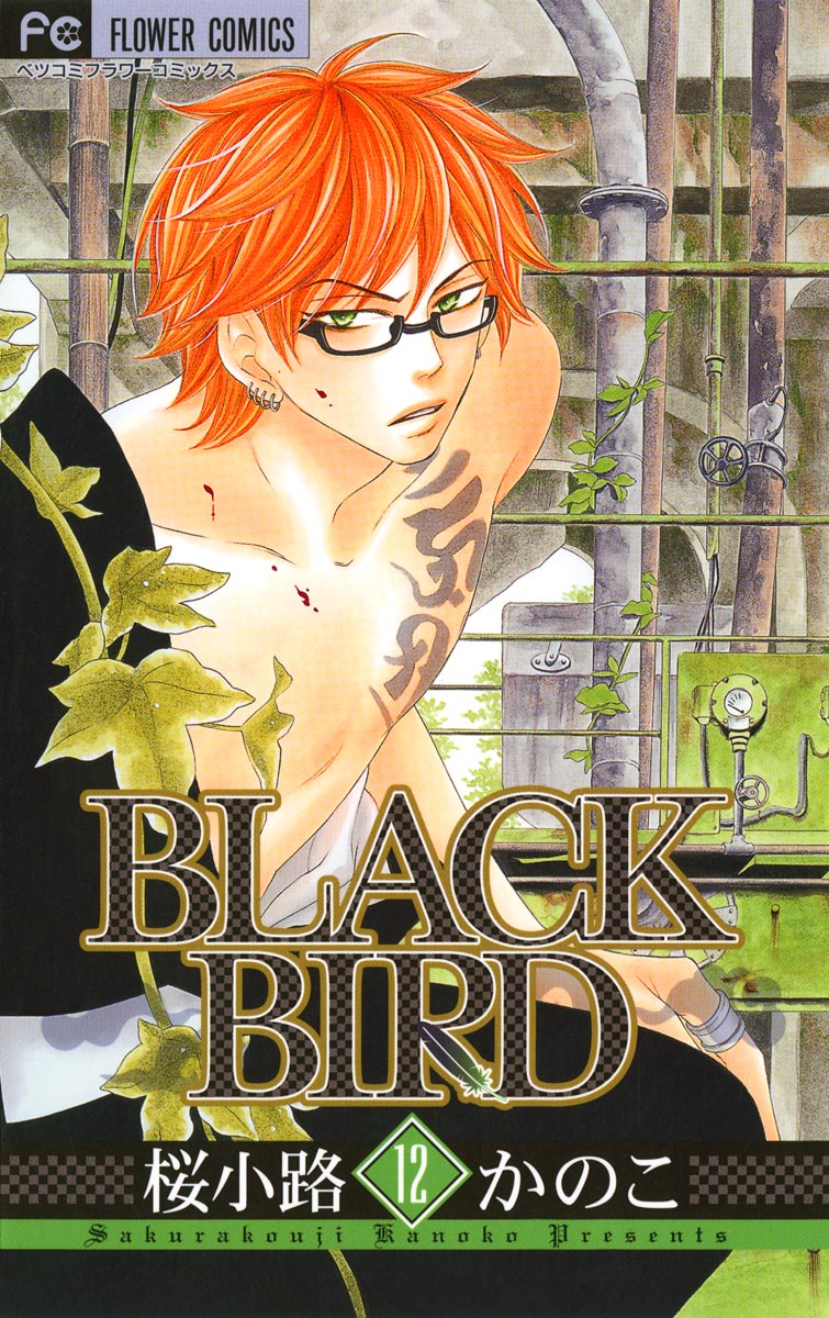 Black Bird １２ 漫画 無料試し読みなら 電子書籍ストア ブックライブ