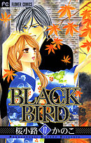 BLACK BIRD 17