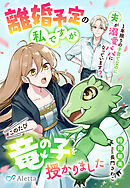 離婚予定の私ですがこのたび竜の子を授かりました～１年限りの子育てなのに夫が溺愛パパになっています！？～