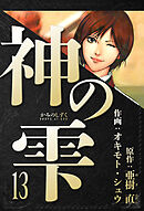 神の雫　愛蔵版　13
