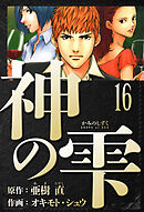 神の雫　愛蔵版　16