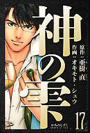 神の雫　愛蔵版　17