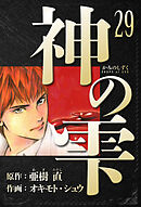 神の雫　愛蔵版　29