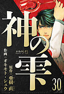 神の雫　愛蔵版　30