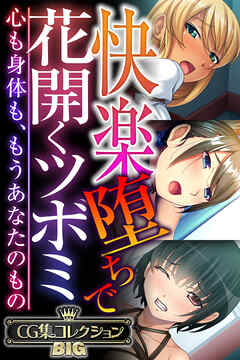 快楽堕ちで花開くツボミ ～心も身体も、もうあなたのもの～【CG集コレクションBIG】