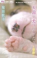 天国の犬ものがたり～奇跡～