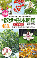この木なんの木？ がひと目でわかる！　新 散歩の樹木図鑑