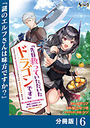 先日救っていただいたドラゴンです【分冊版】（ノヴァコミックス）６