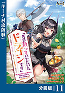 先日救っていただいたドラゴンです【分冊版】（ノヴァコミックス）１１