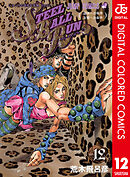 ジョジョの奇妙な冒険 第7部 スティール・ボール・ラン カラー版 12