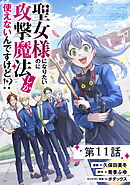 聖女様になりたいのに攻撃魔法しか使えないんですけど！？ 第11話【単話版】