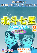 北斗七星2～相寄る魂～＜特別版＞・青柳裕介純情コレクション14