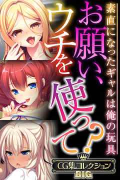 お願い、ウチを使って？～素直になったギャルは俺の玩具～【CG集コレクションBIG】