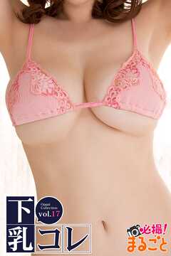 下乳コレvol.17