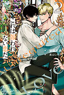 儘ならない彼 美しい彼4（最新刊） - 凪良ゆう/葛西リカコ - BL