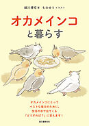オカメインコと暮らす：オカメインコにとってベストな毎日のために。生活の中で出てくる「どうすれば？」に答えます！
