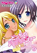 どっちのハメハメショー ～チ●ポがあればおカネなんていらないっ～ (2)モザイク版