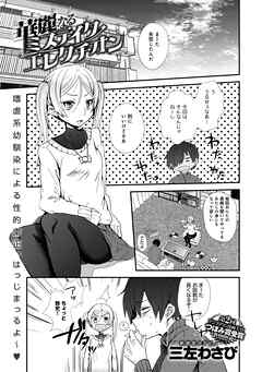 華麗なるミステイク・エレクチオン