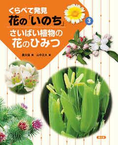 くらべて発見　花の「いのち」　さいばい植物の花のひみつ
