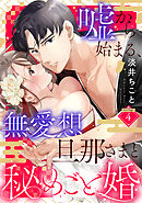 嘘から始まる、無愛想旦那さまと秘めごと婚 marriage.4《カノンミア》