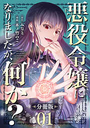 悪役令嬢になりましたが、何か？【分冊版】