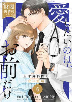 comic Berry’s愛したいのは、お前だけ～天才外科医の甘い策略～【財閥御曹司シリーズ】6巻