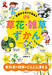 学校のまわりで出あう 草花・雑草ずかん（池田書店）