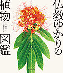 仏教ゆかりの植物図鑑