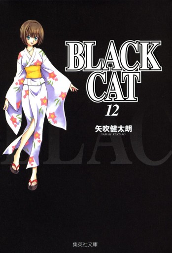 BLACK CAT 12 | ブックライブ