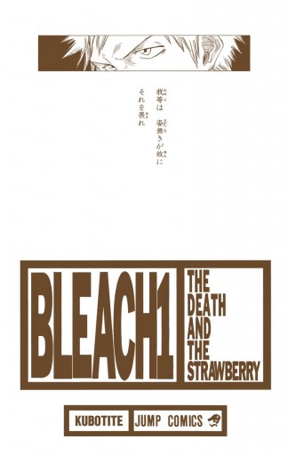 Bleach カラー版 1 久保帯人 漫画 無料試し読みなら 電子書籍ストア ブックライブ