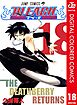 BLEACH カラー版 18