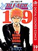 BLEACH カラー版 19
