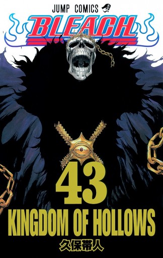 Bleach カラー版 43 久保帯人 漫画 無料試し読みなら 電子書籍ストア ブックライブ Bleach カラー版 43 久保帯人 漫画 無料試し読みなら 電子書籍ストア ブックライブ