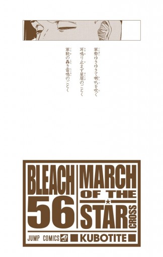 Bleach カラー版 56 久保帯人 漫画 無料試し読みなら 電子書籍ストア ブックライブ