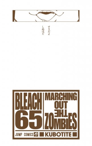 Bleach カラー版 65 久保帯人 漫画 無料試し読みなら 電子書籍ストア ブックライブ