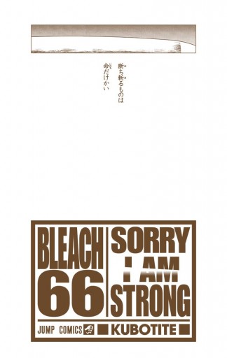 Bleach カラー版 66 久保帯人 漫画 無料試し読みなら 電子書籍ストア ブックライブ